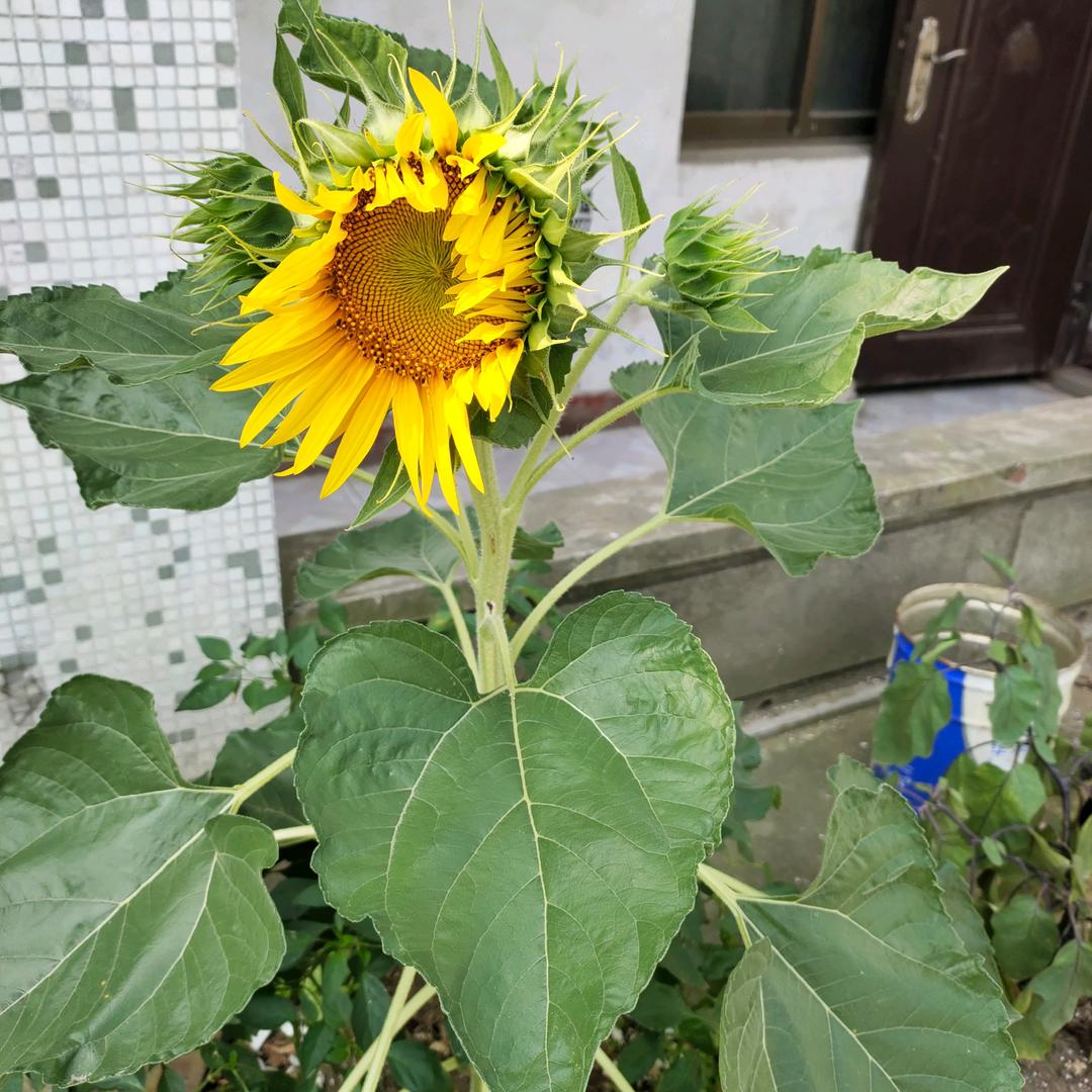 一路向前。。。