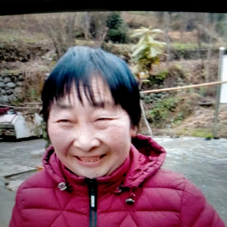 袁作美