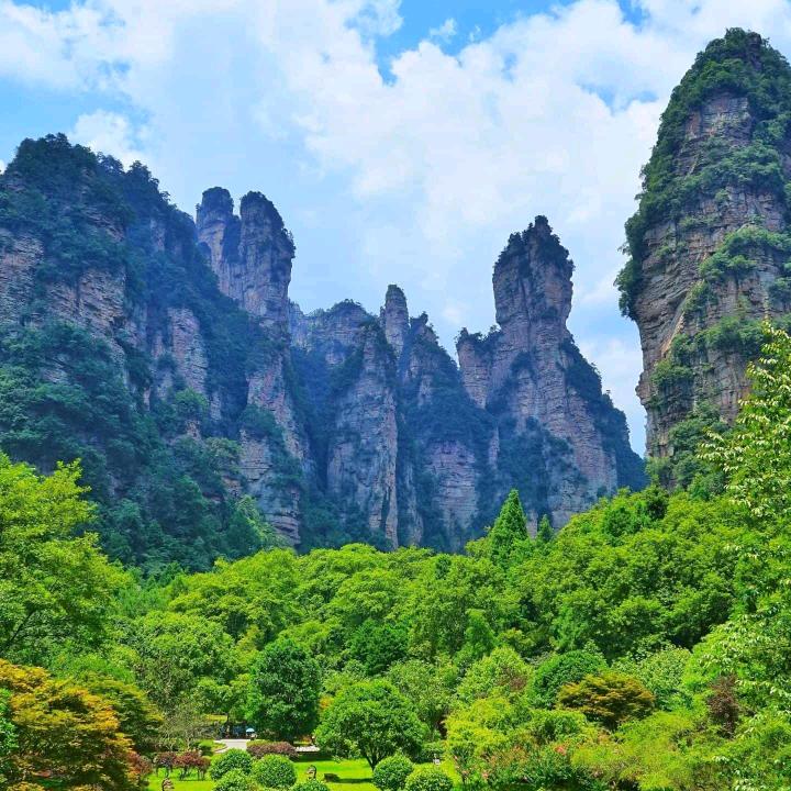 原泰再生资源