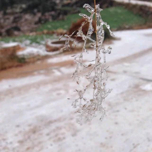 清欢度