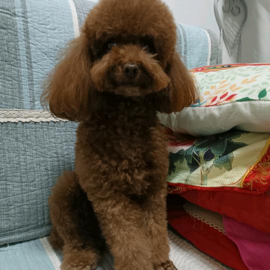 童心