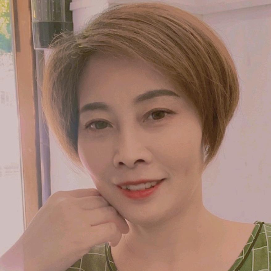 完美的世界