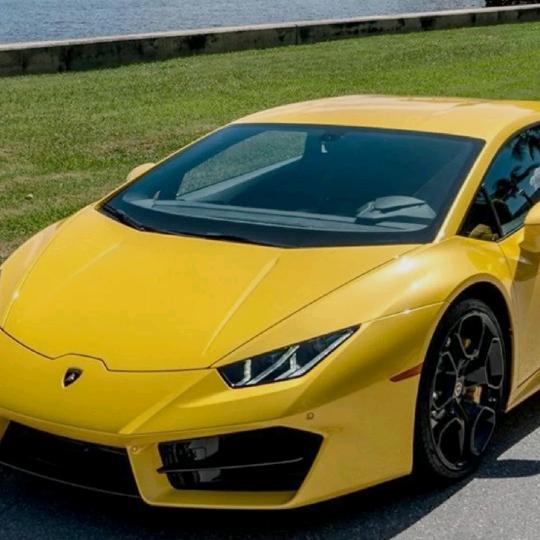 专注收大蒜，花生