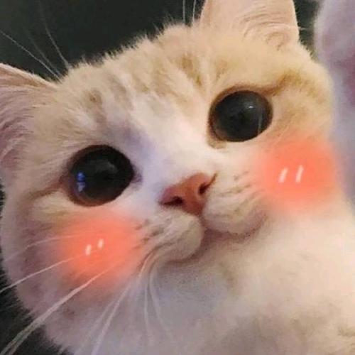⑧