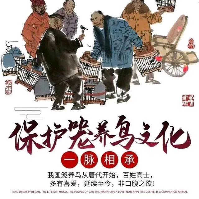 提笼架鸟 笼养文化
