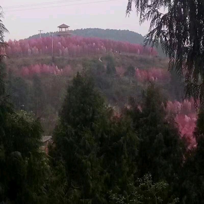 不要迷恋哥