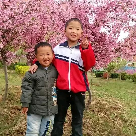 手机用户62050292538