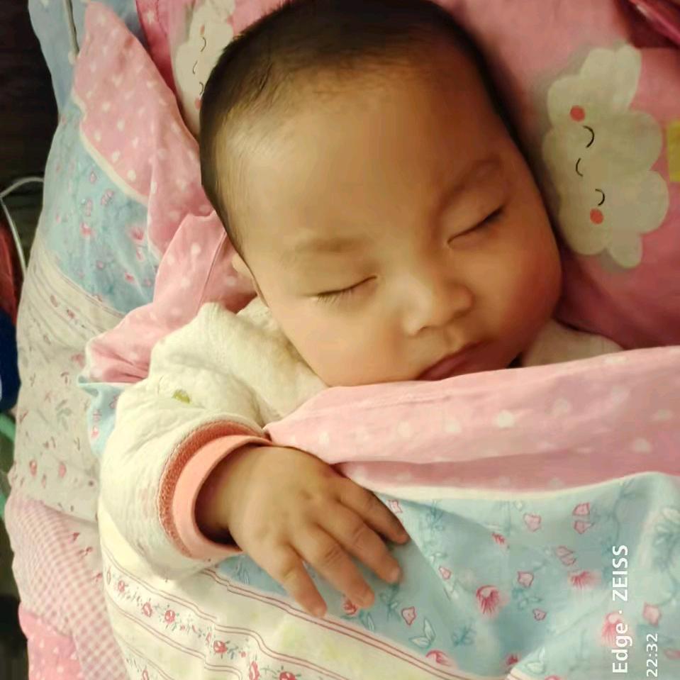 杨12