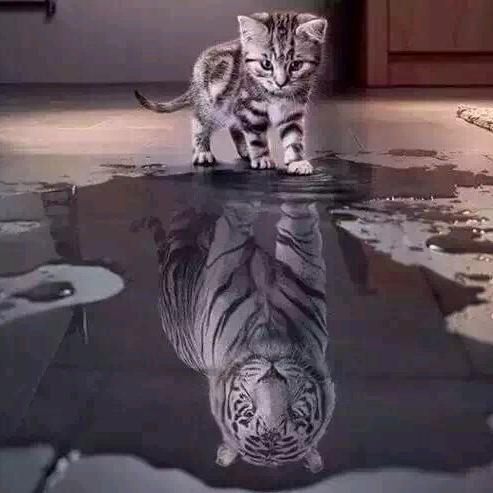 3月17日—伍子胥