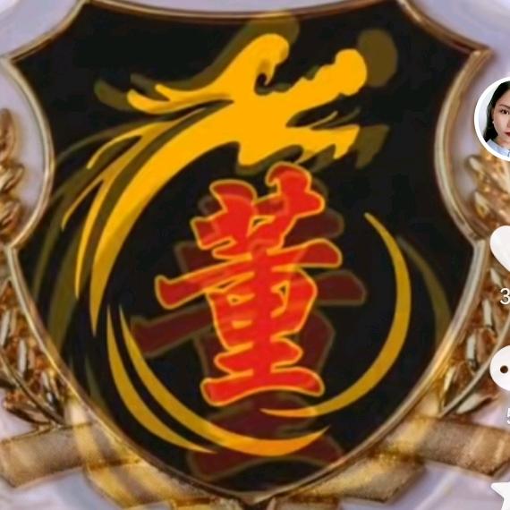 似董非懂