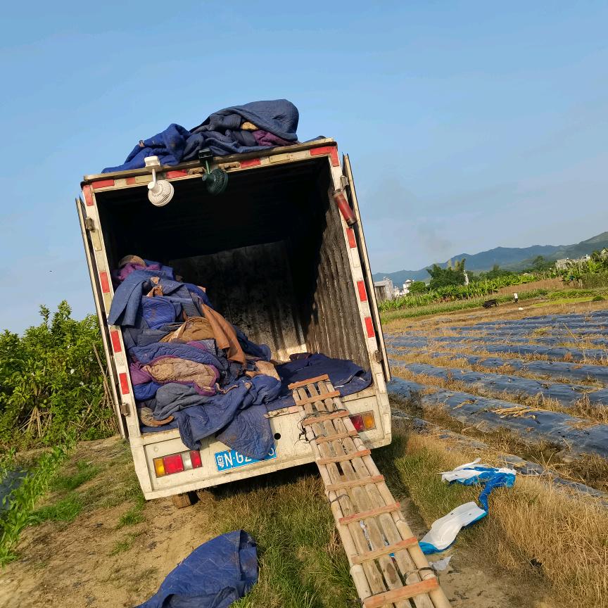 德丰蕉业蕉农联谊货运有限公司