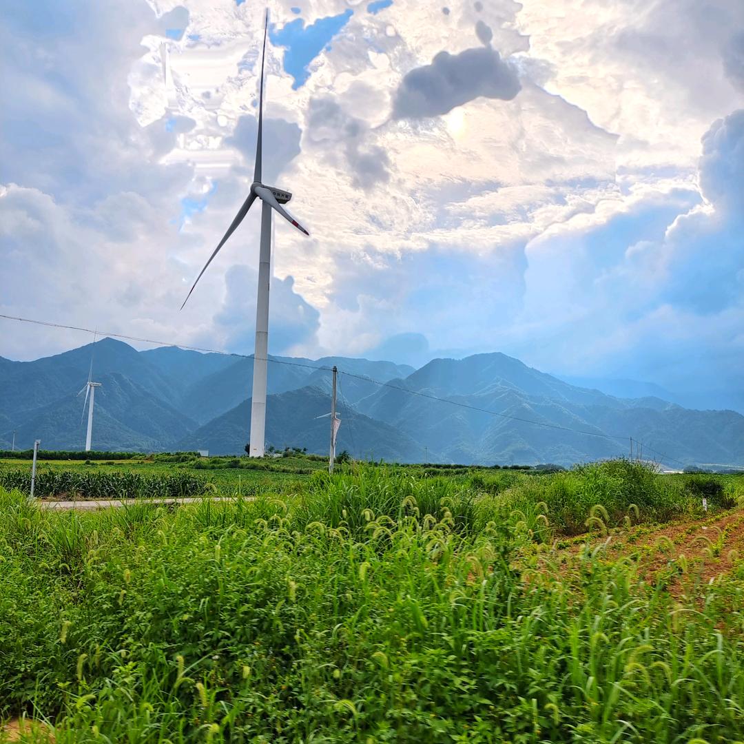 坚持比努力更重要