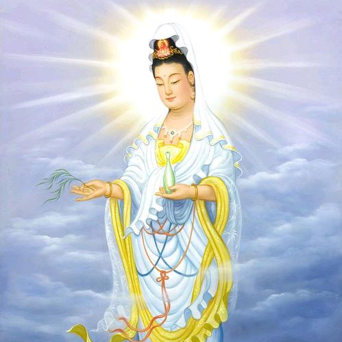 和平使者