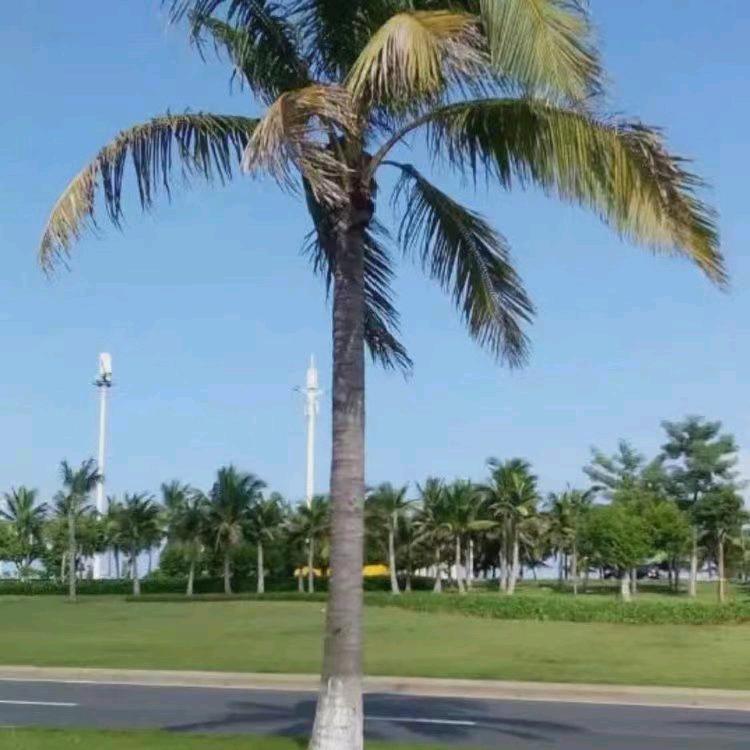 你幸福吗？