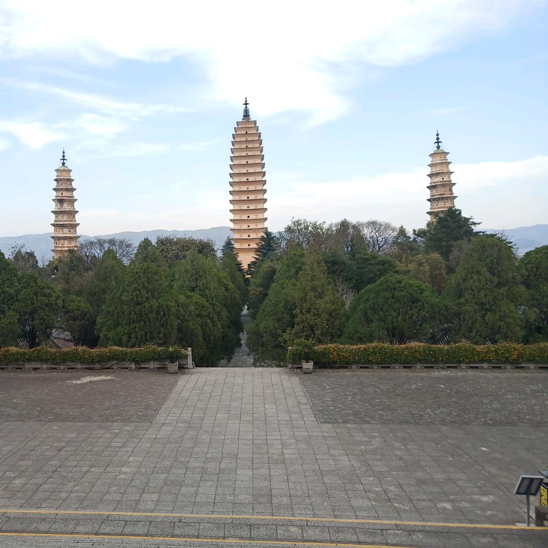 小向