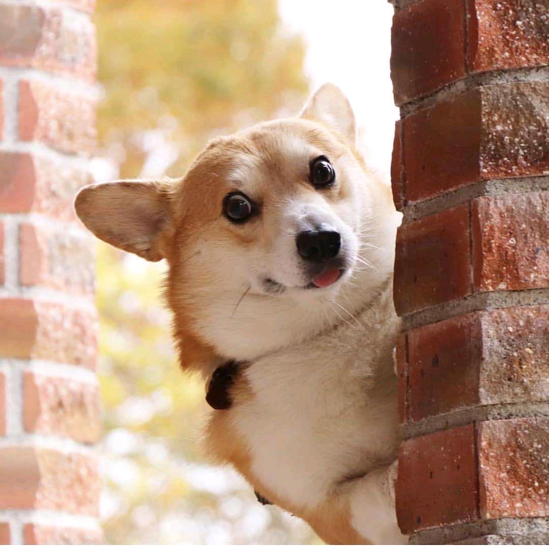 人类文明推进者