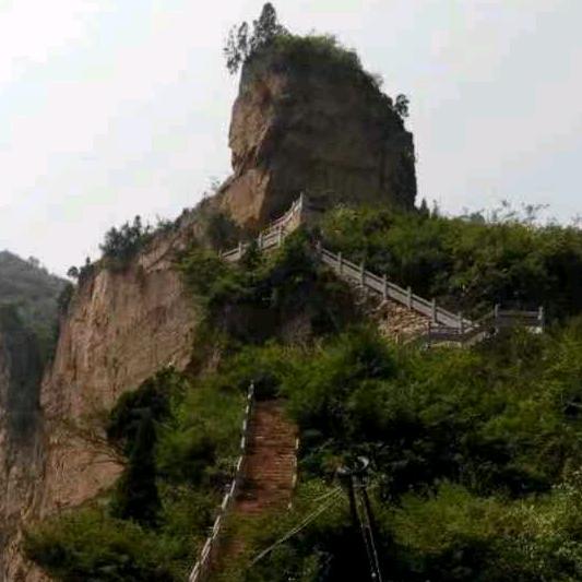 驴马供应商