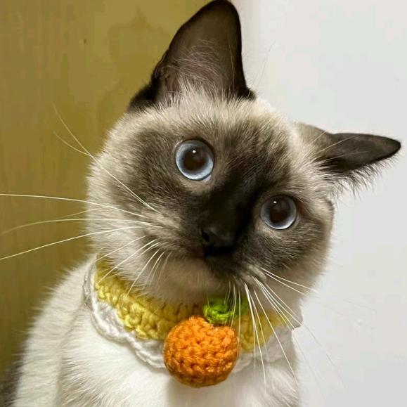 。..