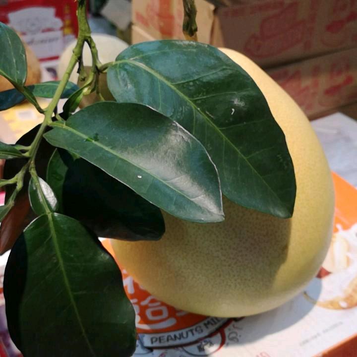 往后余生，心无所待-随遇而安