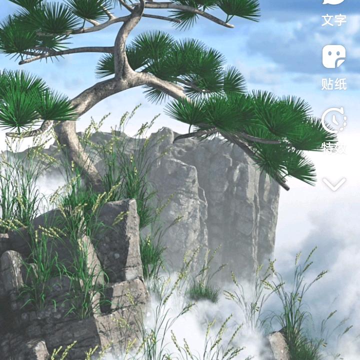 江南小红豆