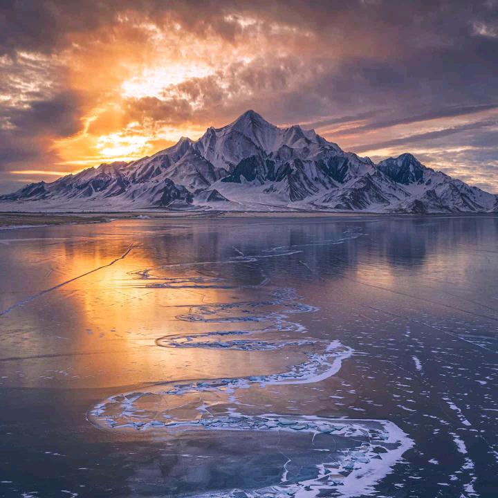 奕风•古树森林守护人