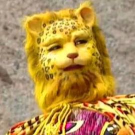 恭喜发财(-♡∀♡))ヾ☆*。