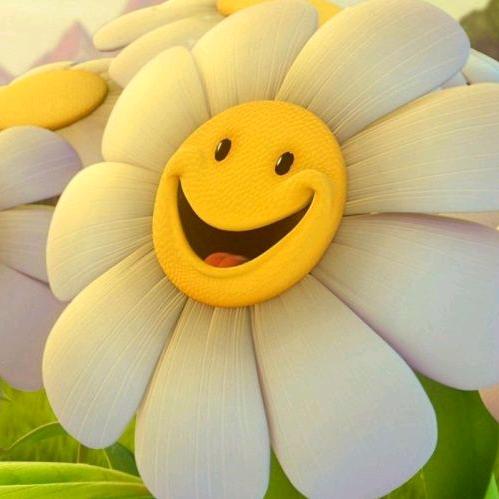Sunflower🌻