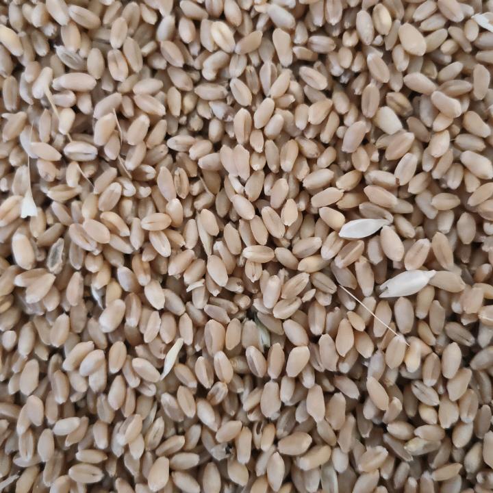 泰丰