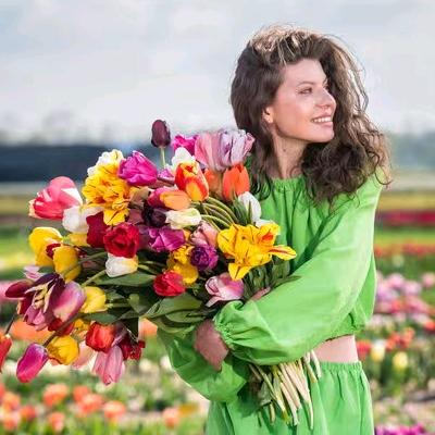 妖媚进口花卉种球个体店