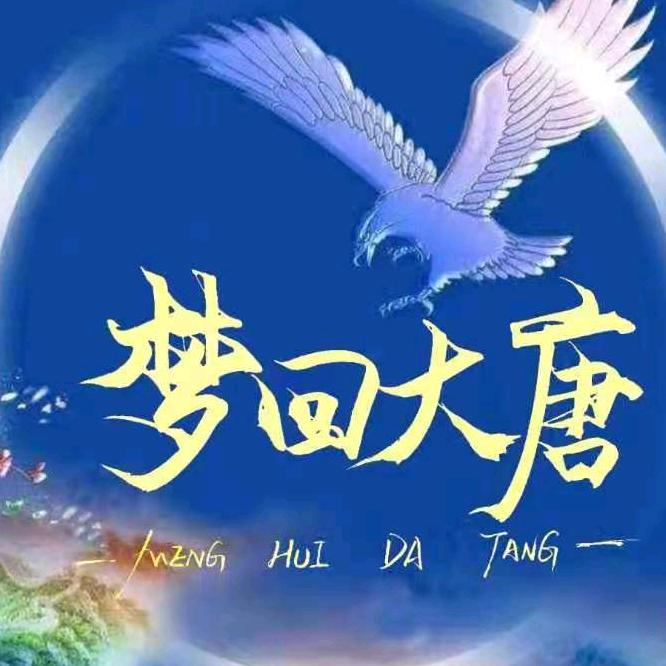 .梦回大唐.