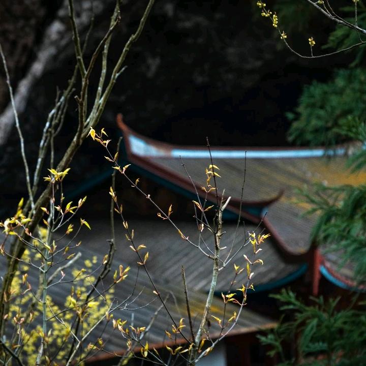 ღ᭄ 默言  ღ᭄