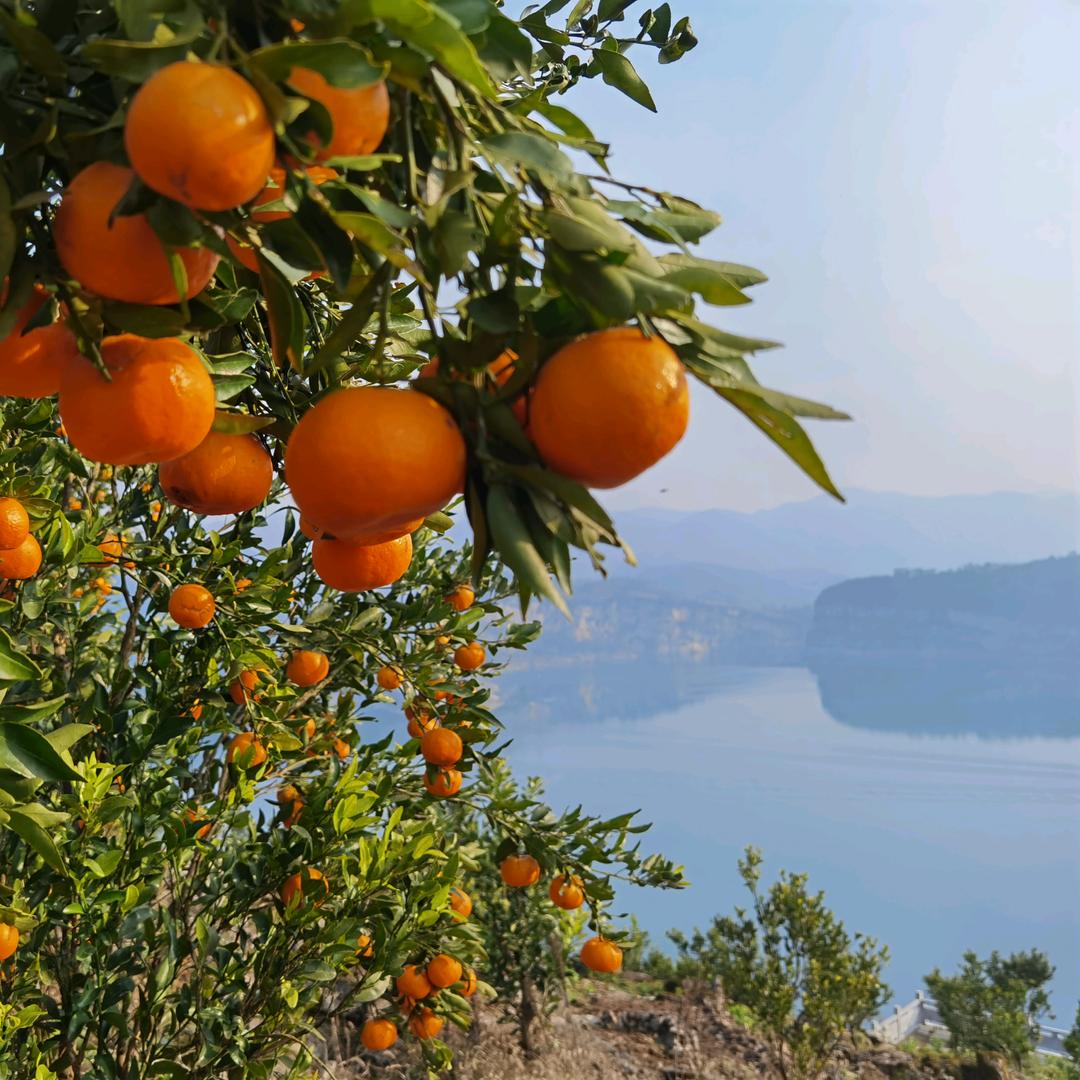 红色沙土~文化视线