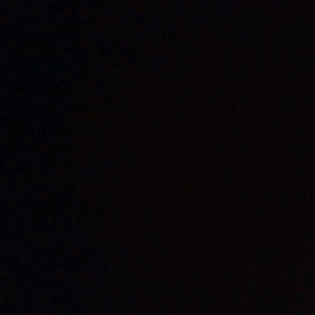 蔷薇