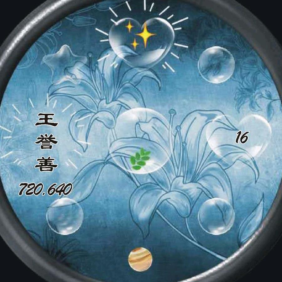 王誉善720.640