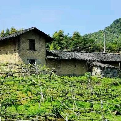 山东老家