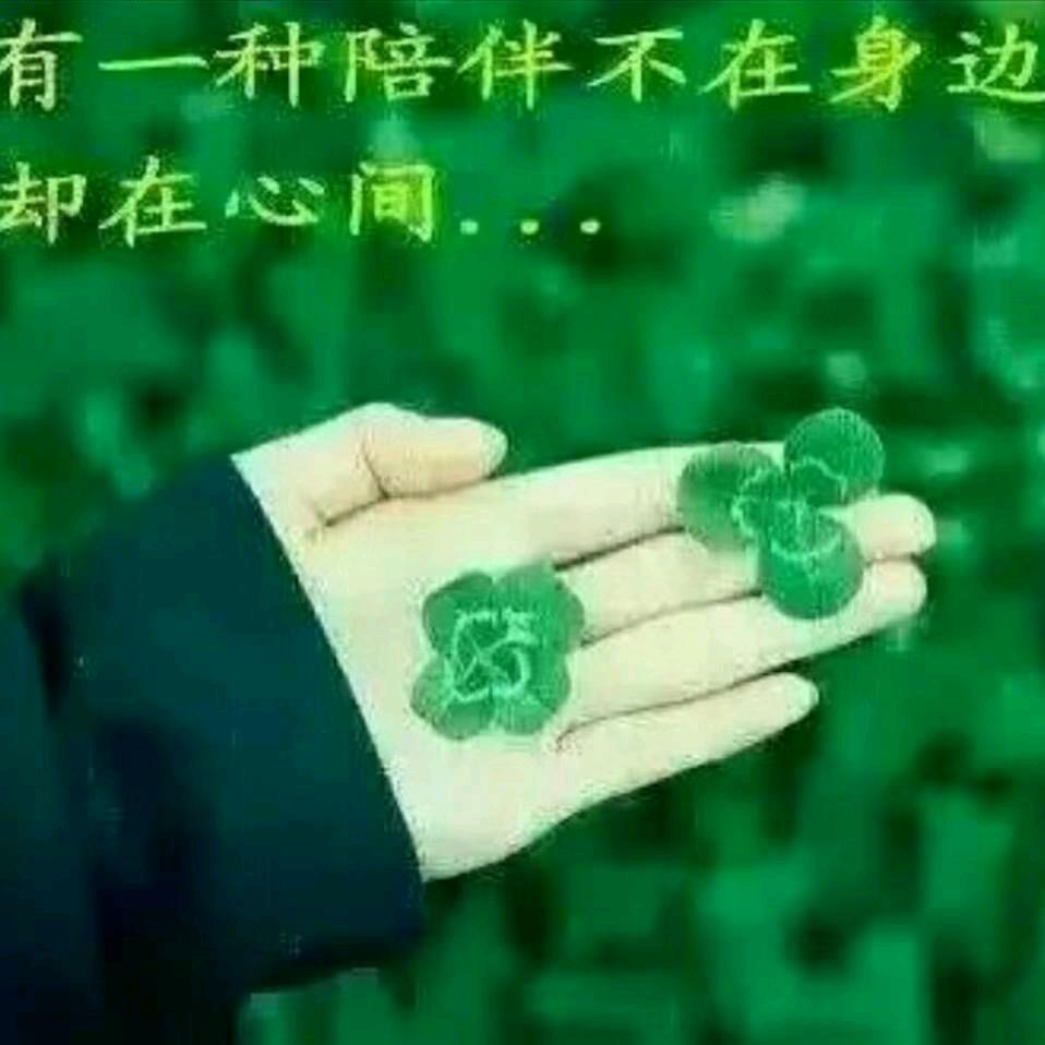 冰封的雪狼_