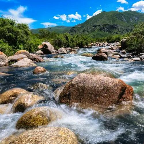 笑看余生——高价收书