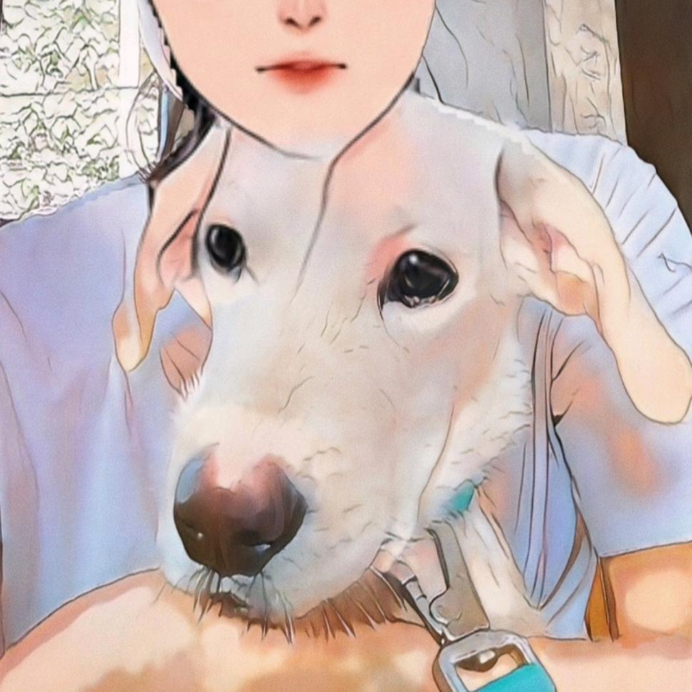 艾拉成长记