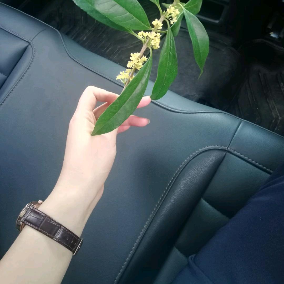 静心聆听世界✌请勿连赞🙏🙏)
