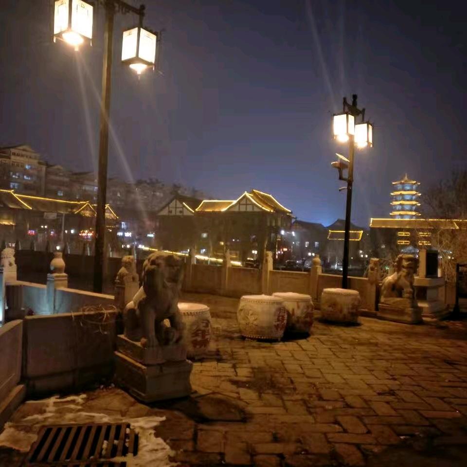 张新龙