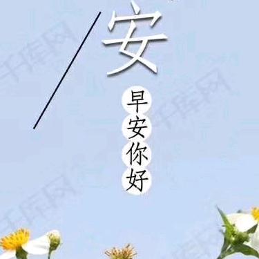 花儿为什么这么红