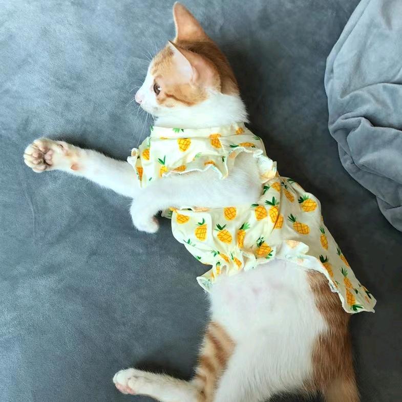 🧊🥺小宝