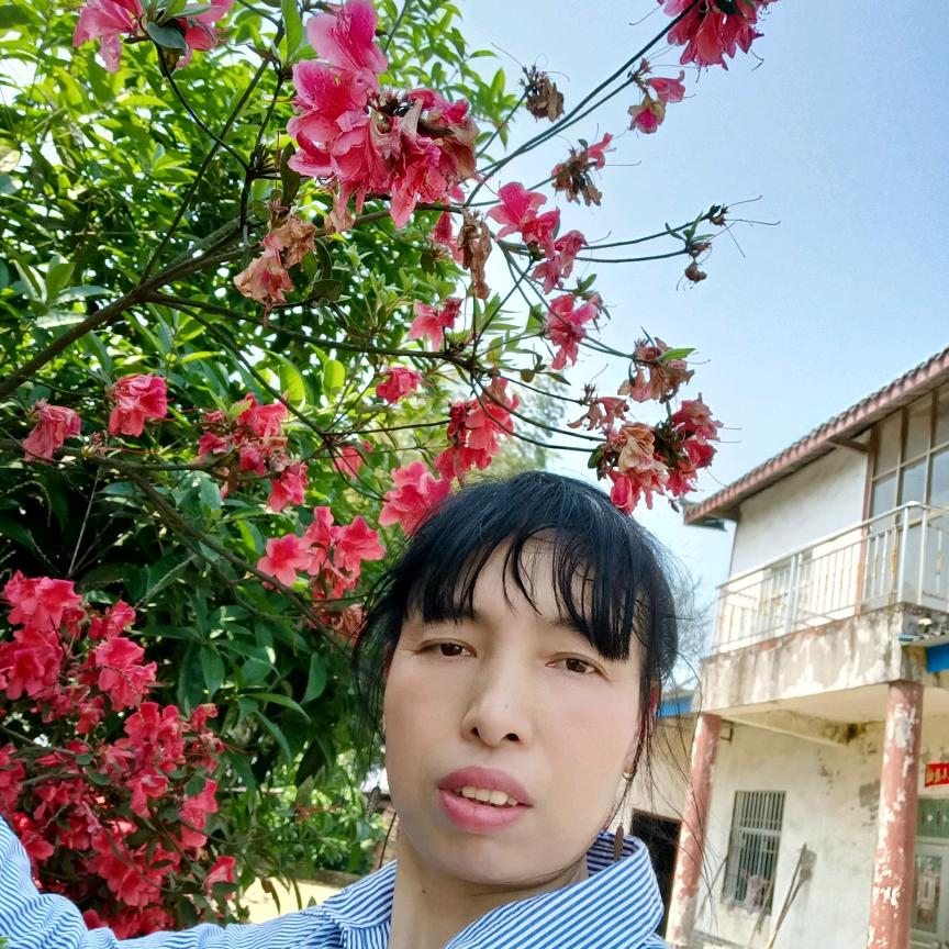 连花
