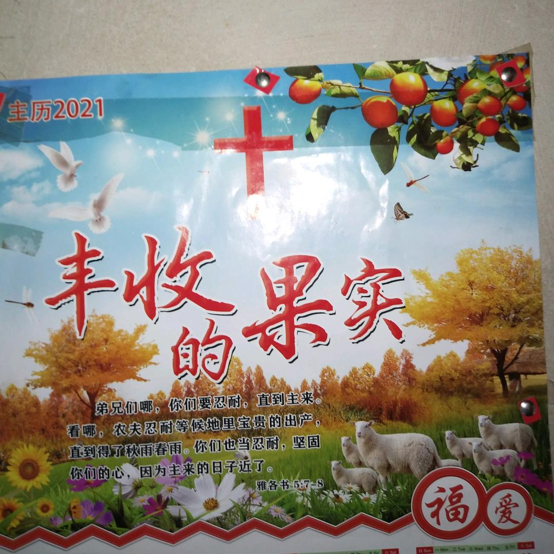 吴芳莲