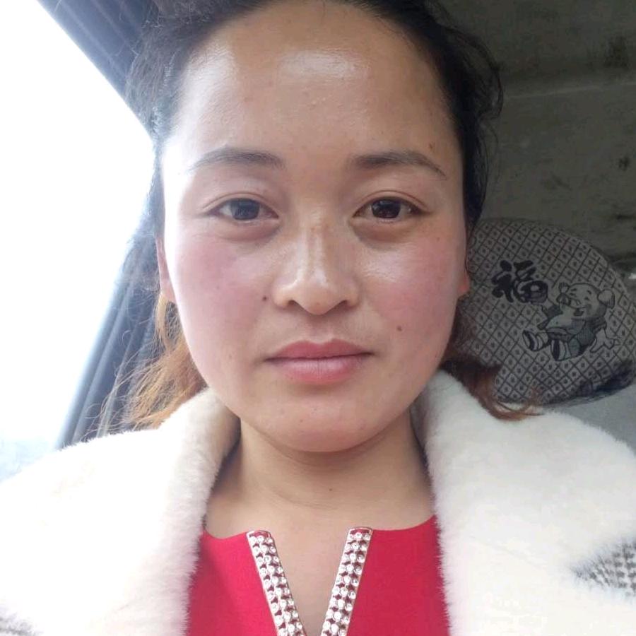 自然放牧黄牛谢艳梅