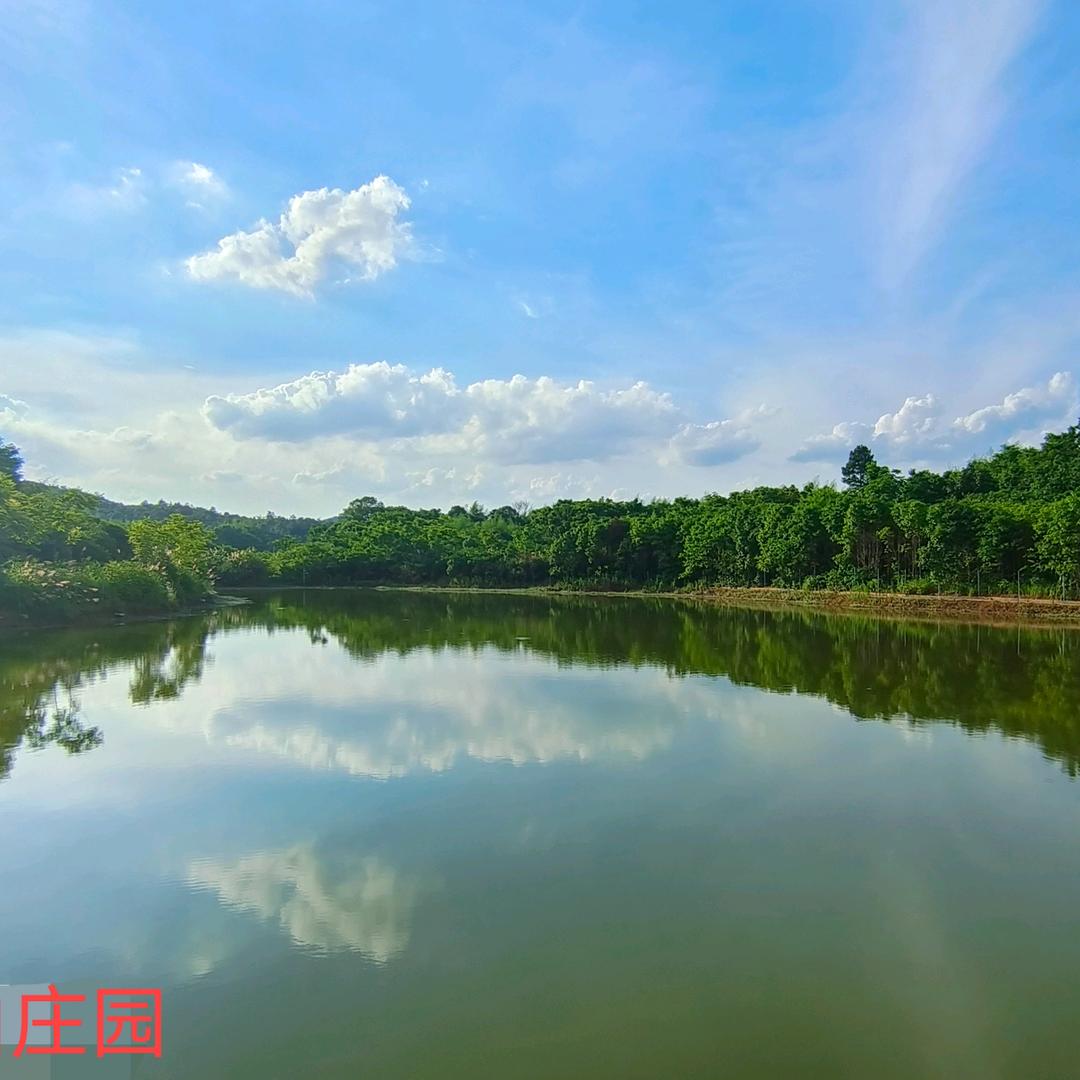 红姐（鸡嘴山庄园水果采摘乐园）
