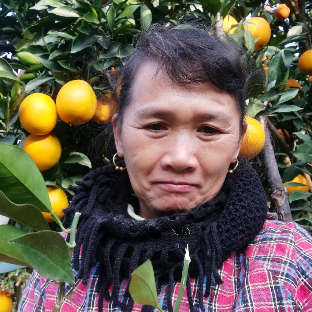 香知好果