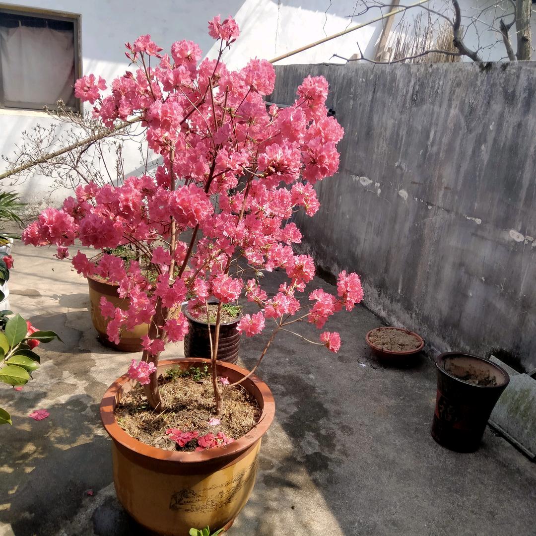 平安喜乐