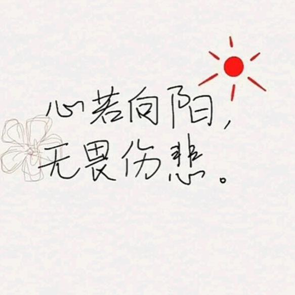 单只蝴蝶👸