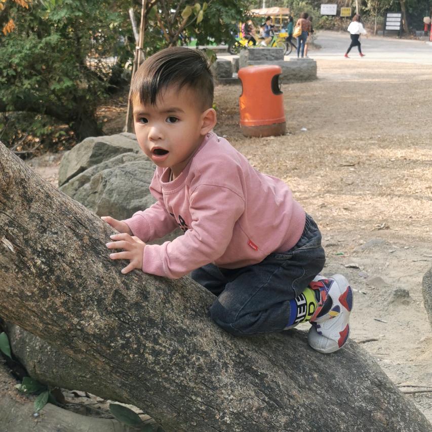 陈超，梅江自家柑园